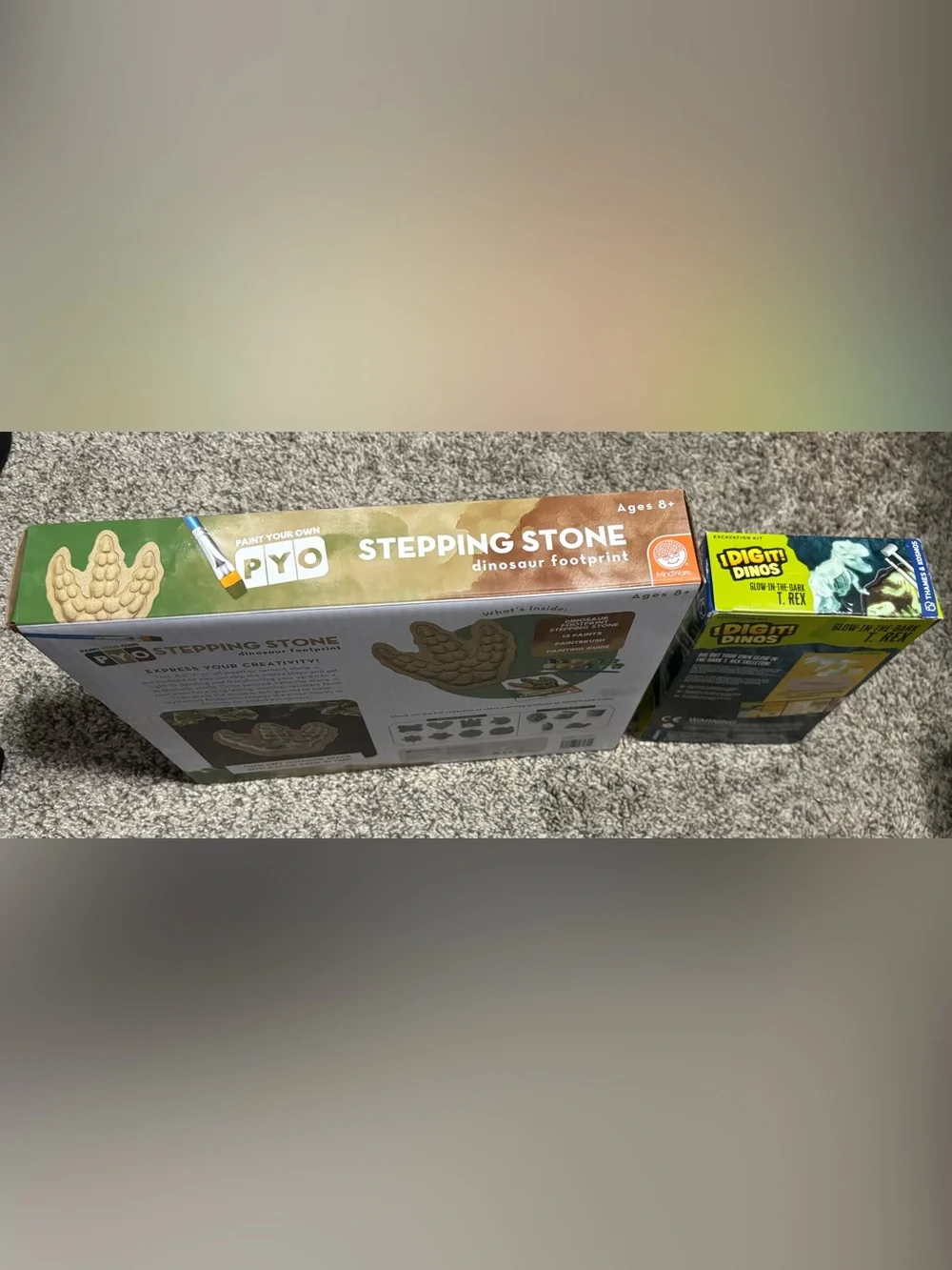 Dinosaurs! PYO Stepping Stone (dinosaur footprint) & Dig It! Dinos - 8+ & 7+ age